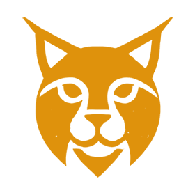 Lynx project visual