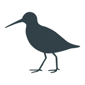Snipe project visual